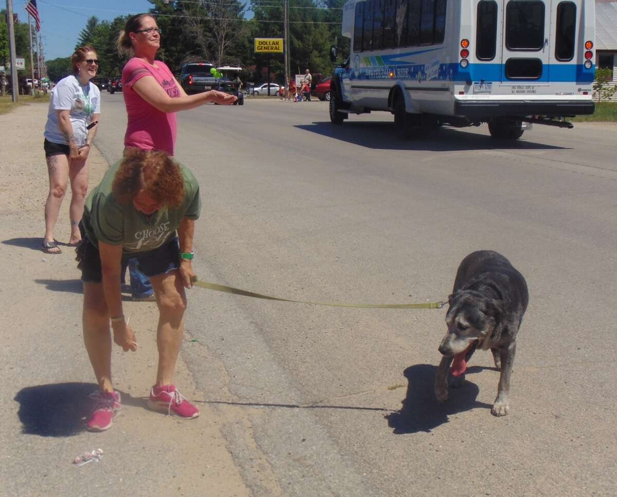 Irons Flea Roast & Ox Market returns for funfilled weekend