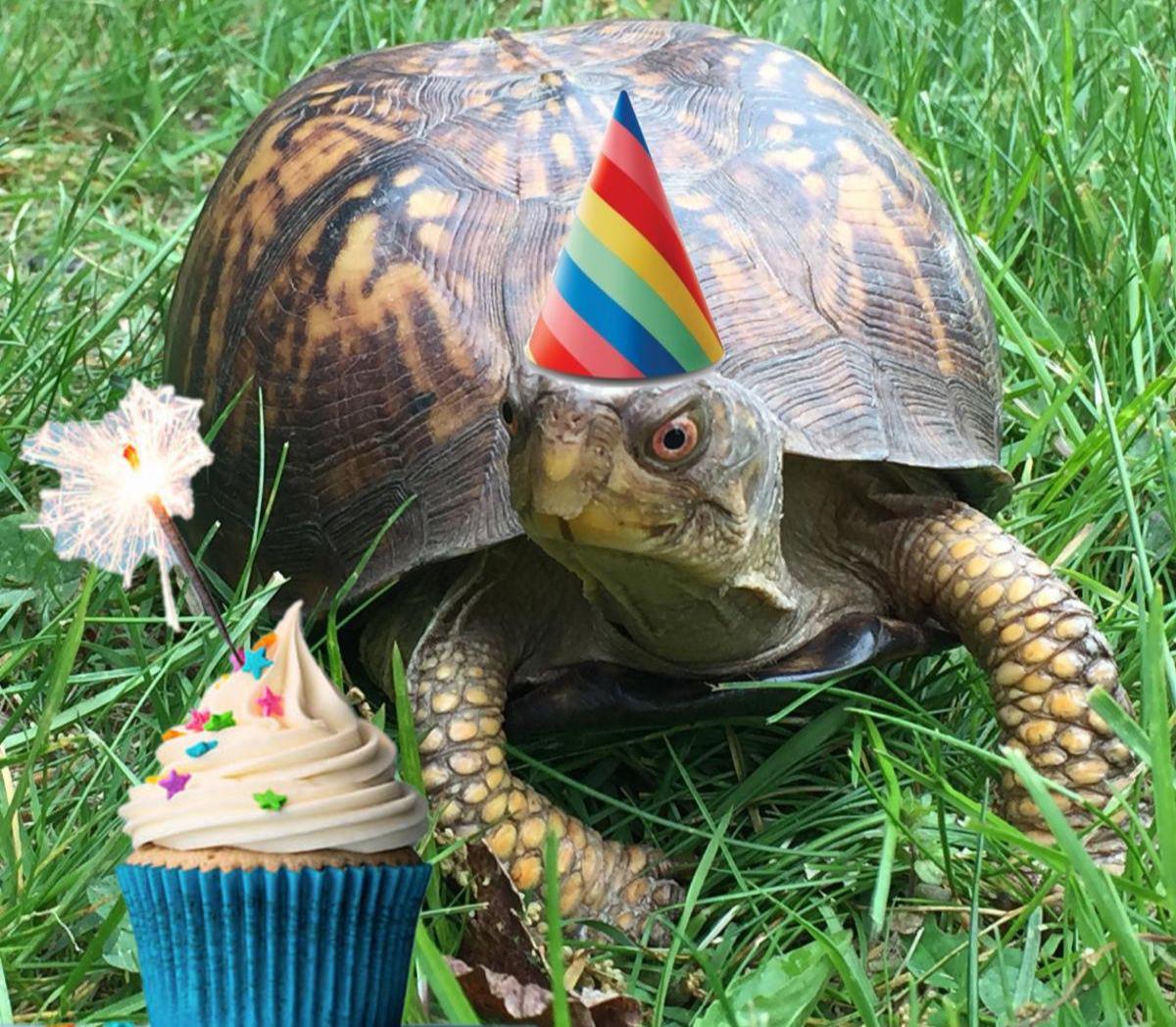 Woodcock Nature Center to host 50th anniversary birthday bash - Vimarsana News