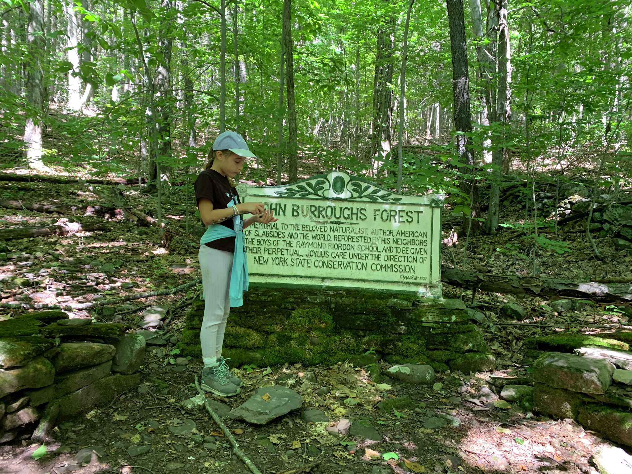 Hiking in the Catskills: A Beginner's Guide to Hudson Valley Treks