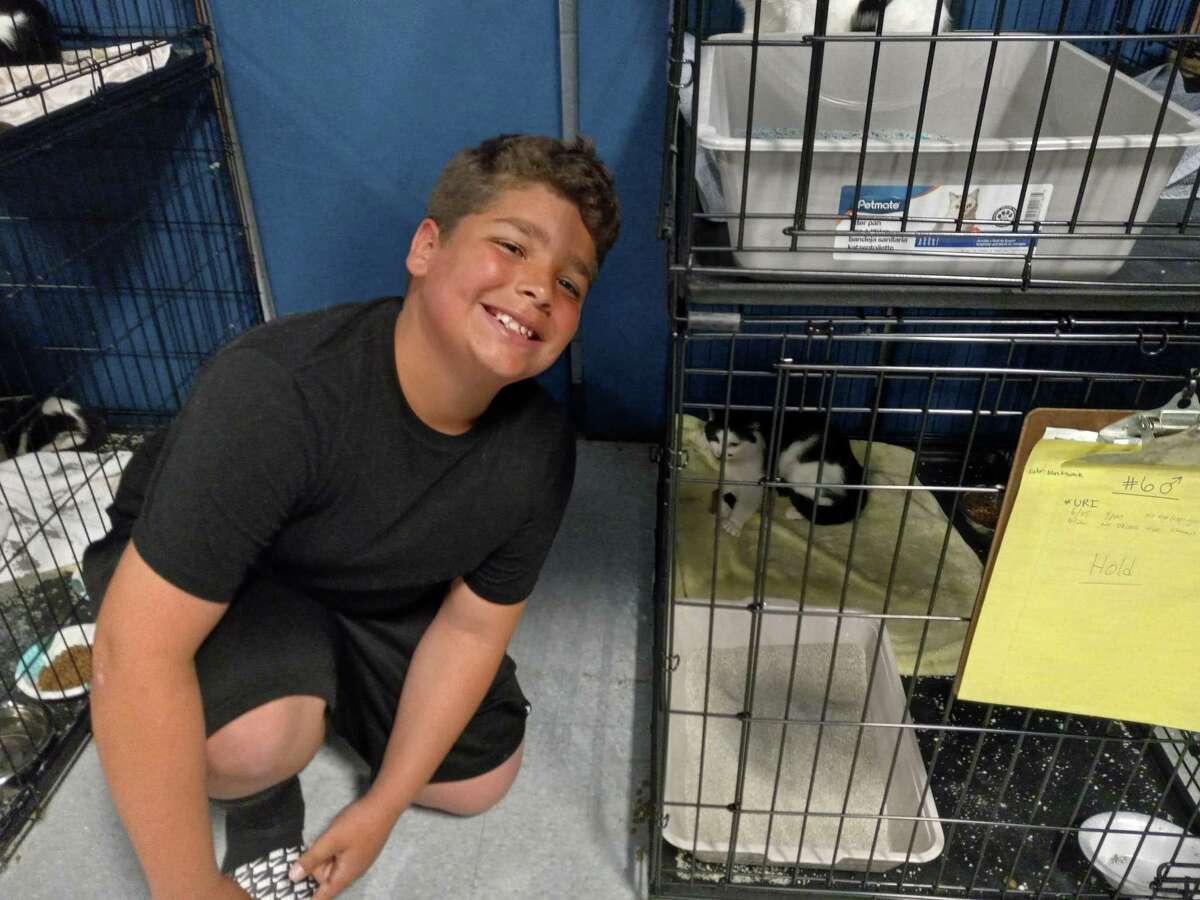 Christian Brown, 9, with a cat his family chose to adopt.