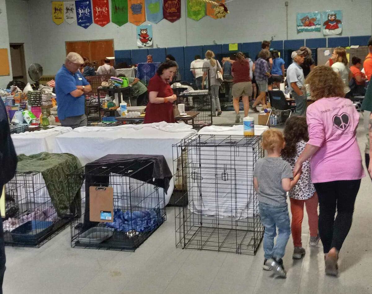 Winsted residents line up to adopt rescued cats