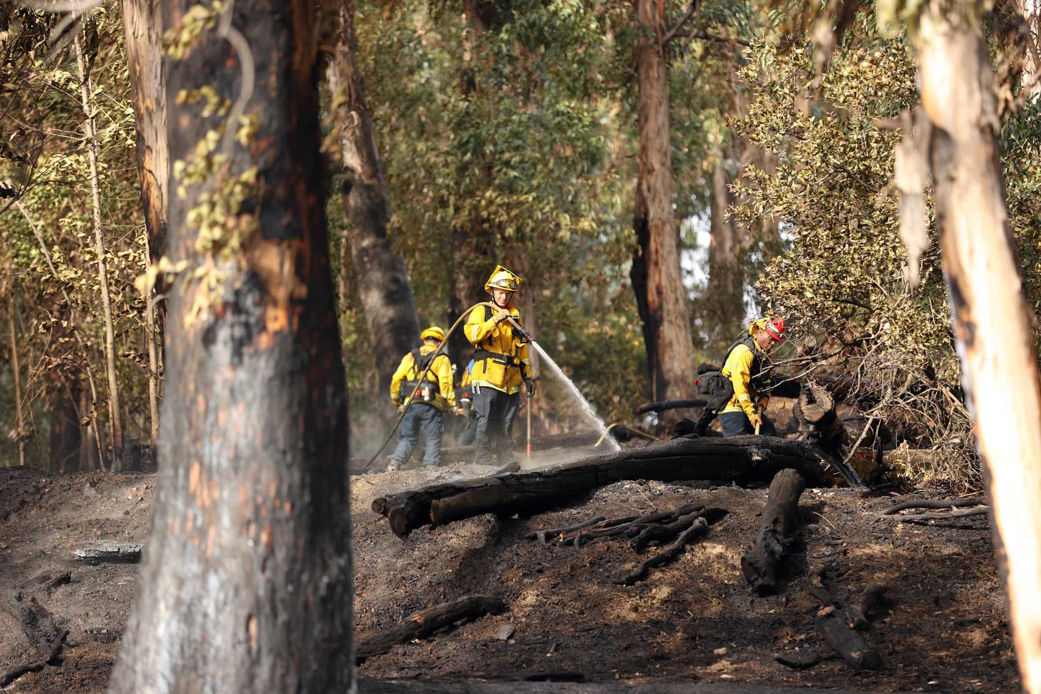 Why the Bay Area has escaped a major wildfire so far during California's fire season - Vimarsana News