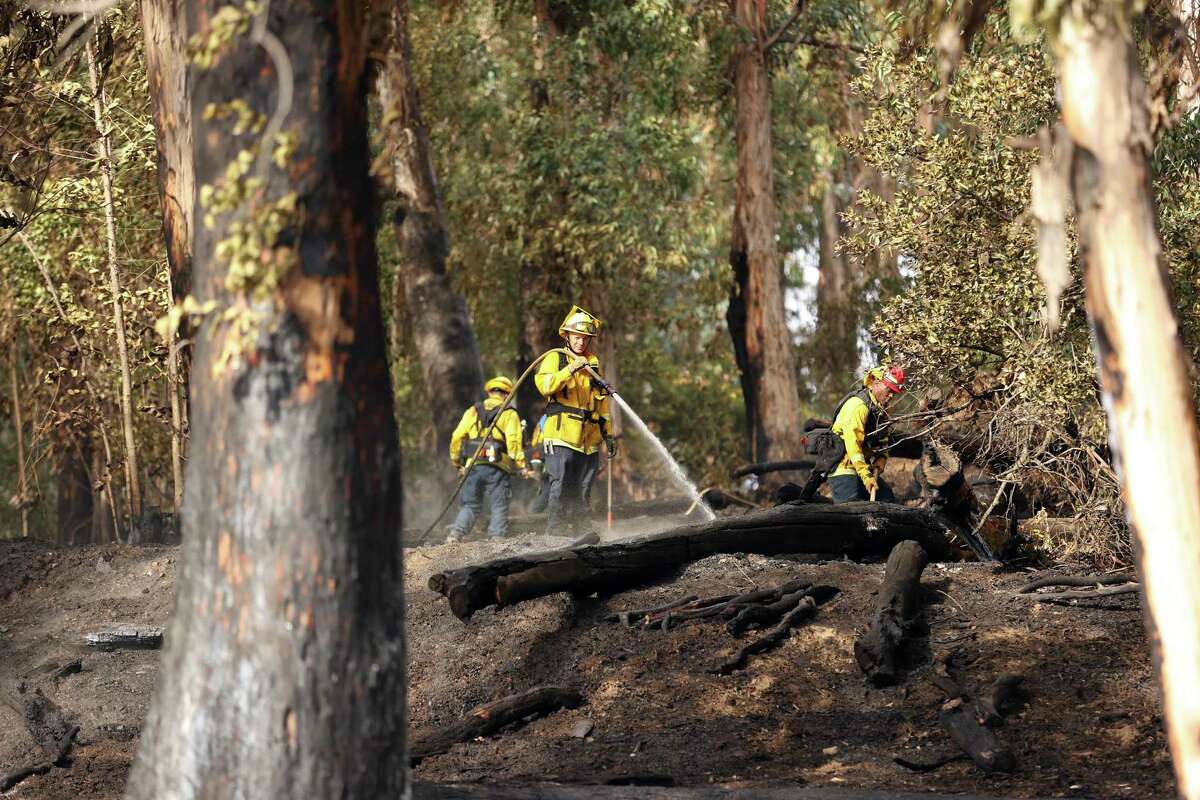克利夫兰大火烧毁阿拉米达县奥尔巴尼山植被后，消防员正在扑灭热点。