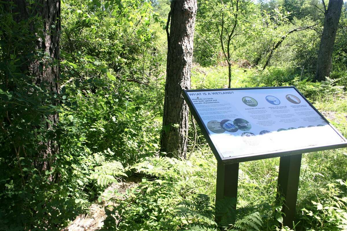 Ice Mountain receives Wildlife Habitat Council green infrastructure award for Twin Creek Nature Area