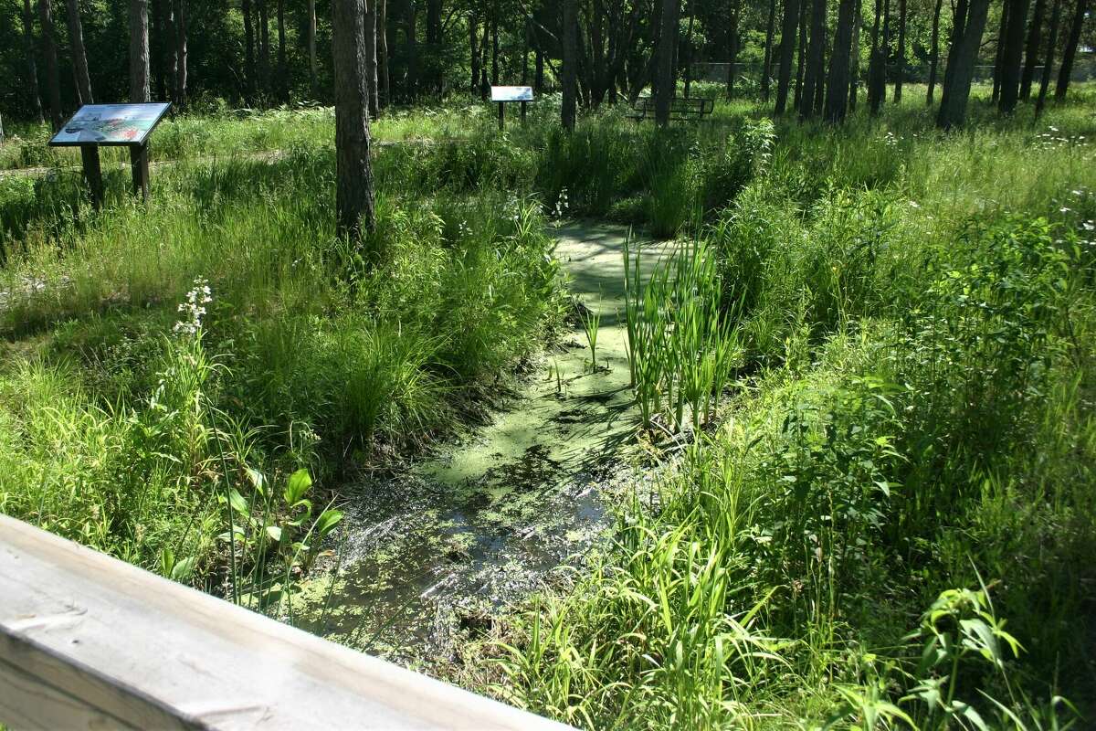 Ice Mountain receives Wildlife Habitat Council green infrastructure award for Twin Creek Nature Area