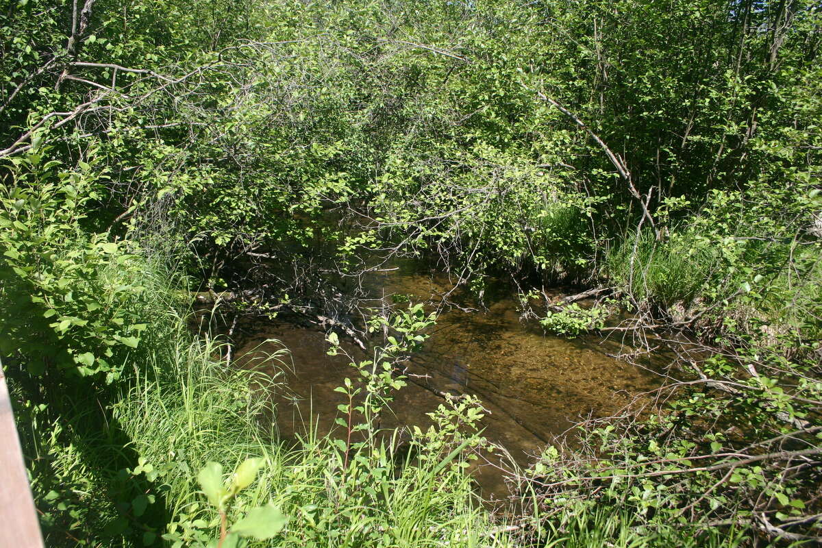 Ice Mountain receives Wildlife Habitat Council green infrastructure award for Twin Creek Nature Area