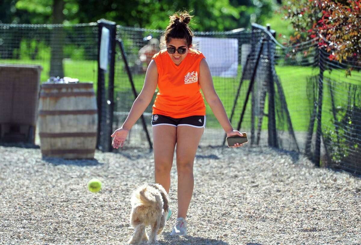 Riya Punjabi goes to greet Boba, a friend's dog while at Mill River Park's Bark Park in Stamford, Conn., on Tuesday June 28, 2022. A group of residents who regularily come to the dog park are heading an effort to raise money for some improvements for the space.