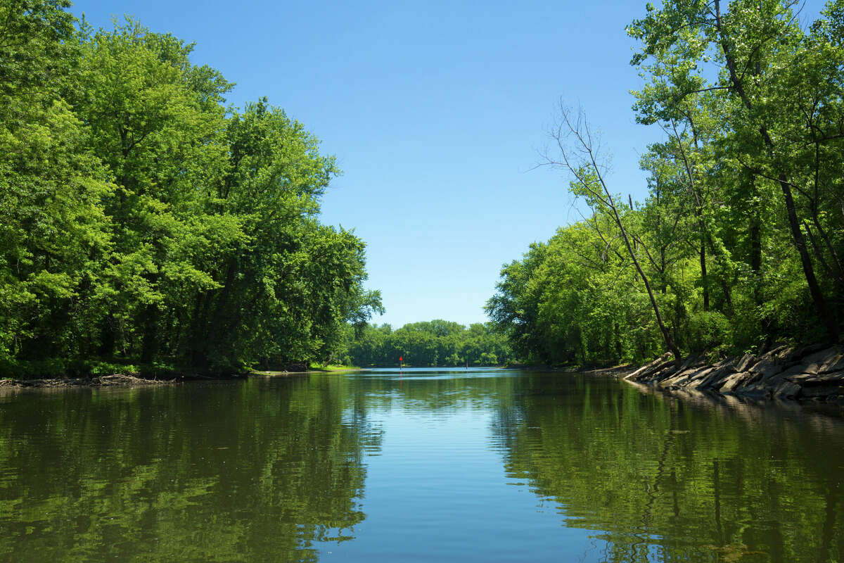 Forests on shore of Wethersfield Cove on the Connecticut River, on a sunny June day.