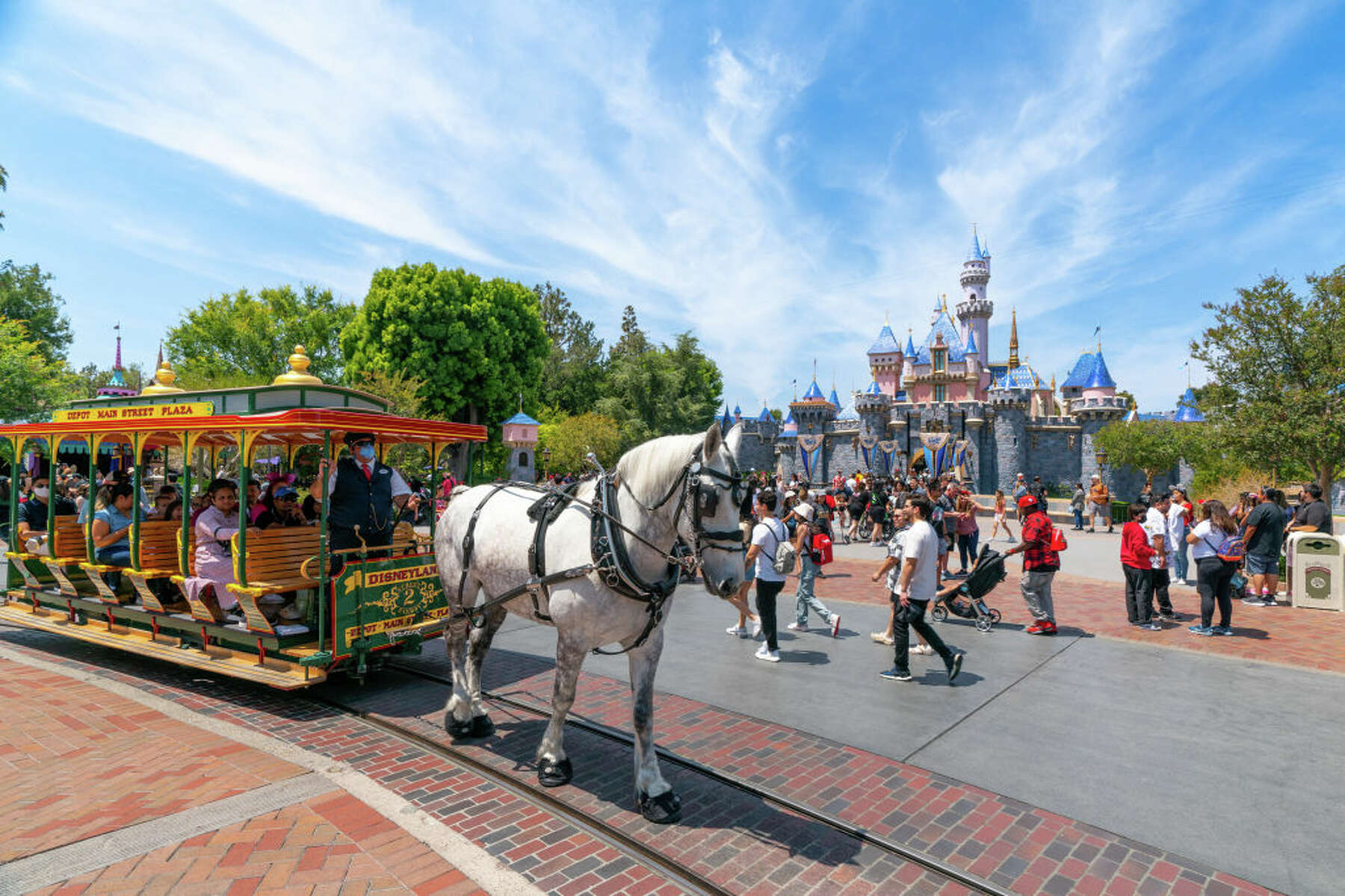 Trying Horse-Drawn Carriage at Disney World for $50, Worth It