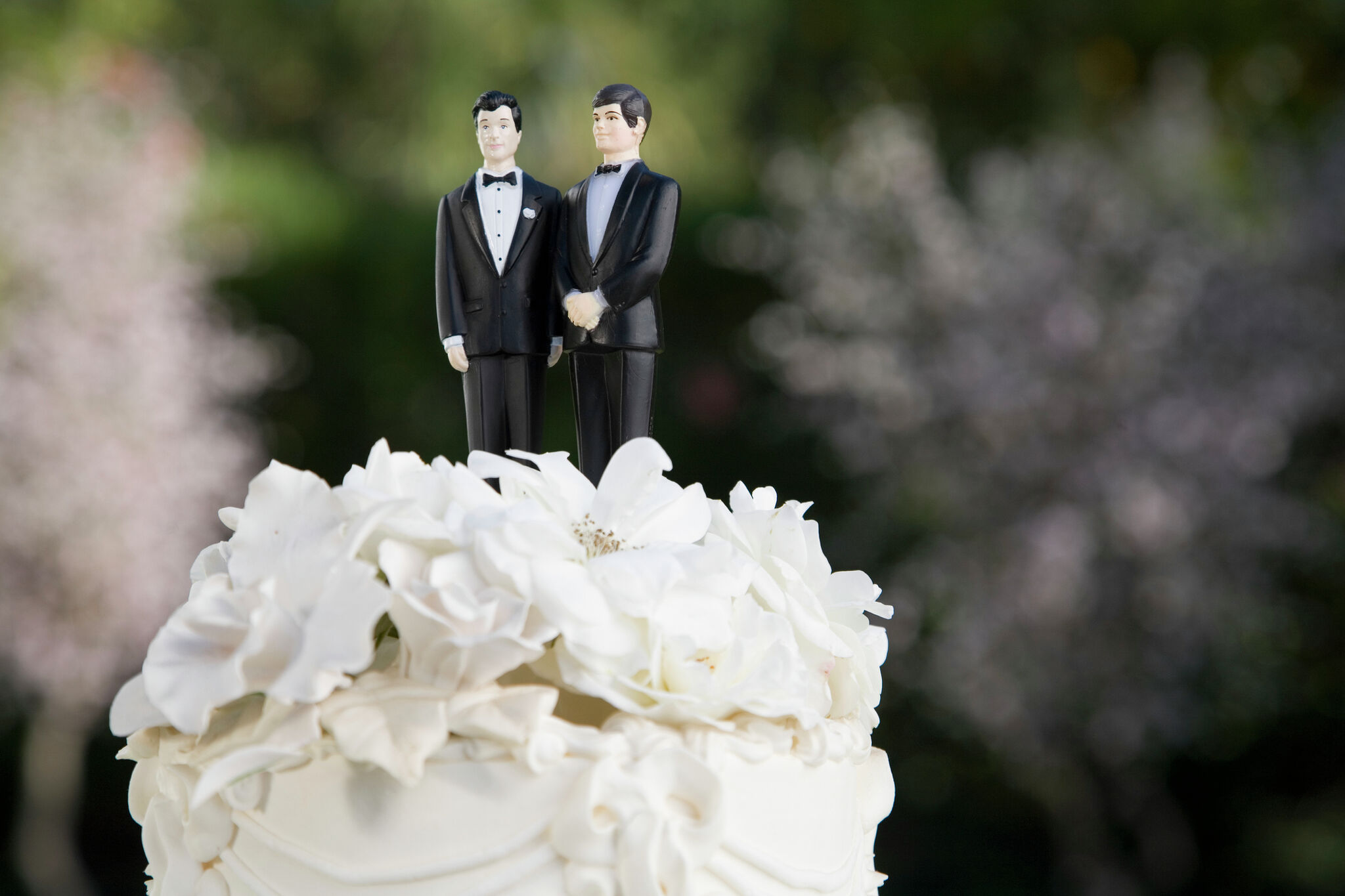 Data on San Antonio same-sex households can be misleading - Vimarsana News