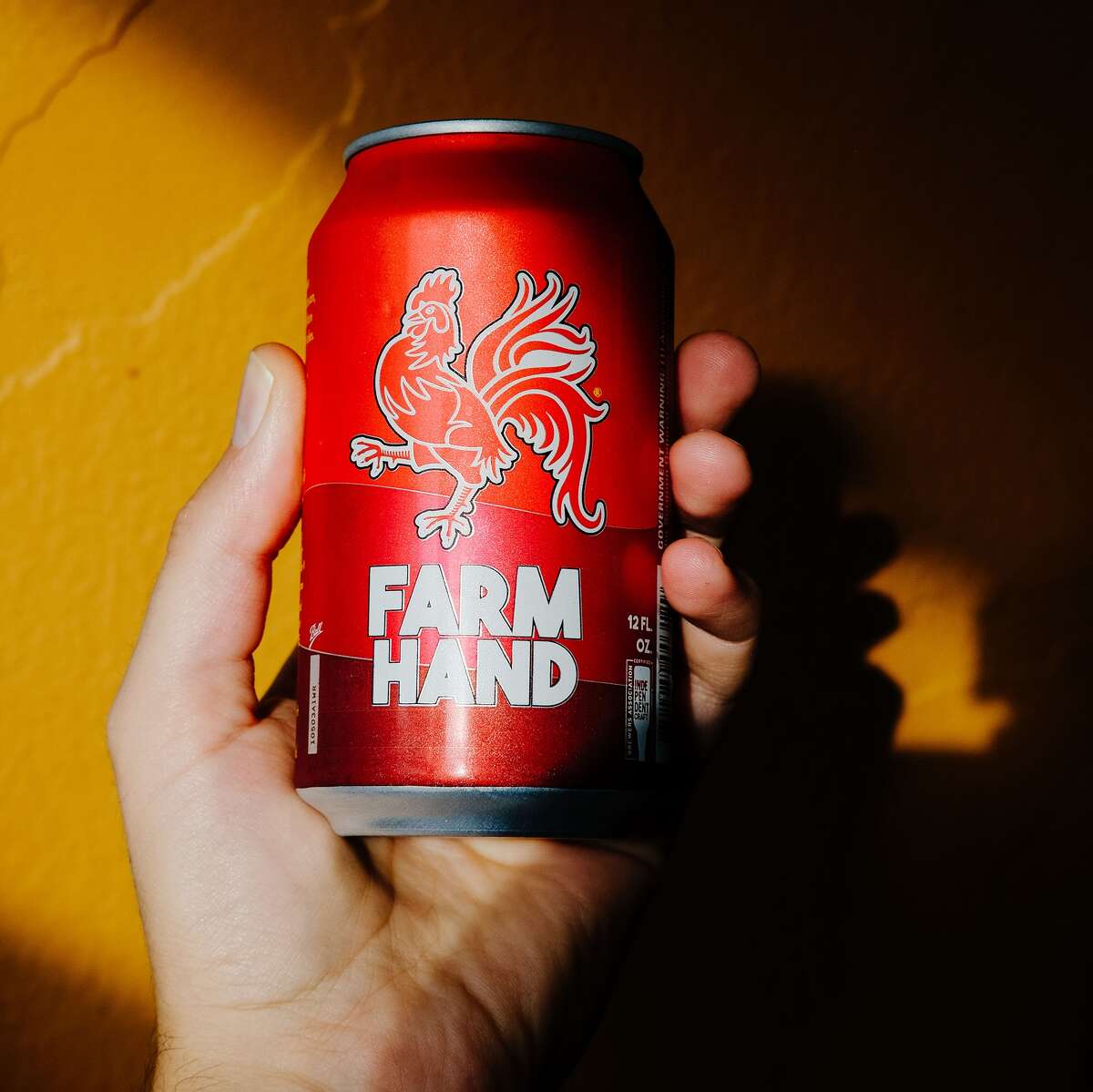 A true champion of Beer Flavored Beer, I give you Farm Hand, made with love by Brewery Vivant. 
