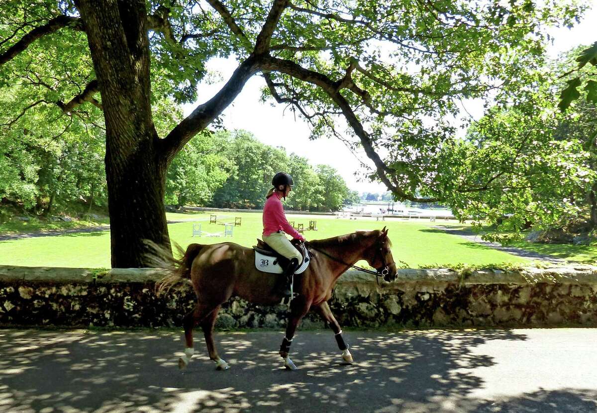 Jennifer Carrs, a trainer at Serenity Show Stable, takes Yo Yo back to his paddock on Great Island in Darien, Conn., on Thursday June 29, 2022. Jennifer Leahy, a real estate agent who sold the property to the town, gave a tour of the land.