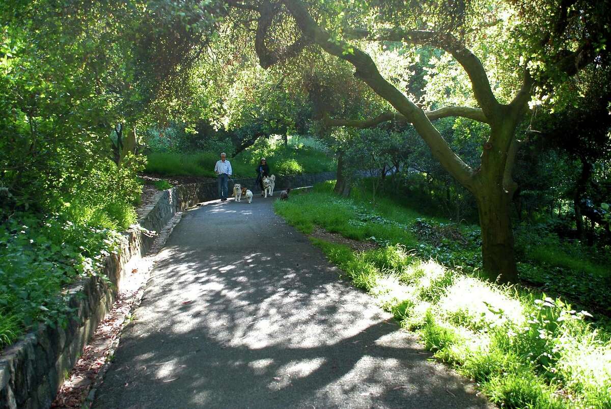 Buena Vista Park is one of three San Francisco parks with defective trails that the city should inform the public about, a Civil Grand Jury says.