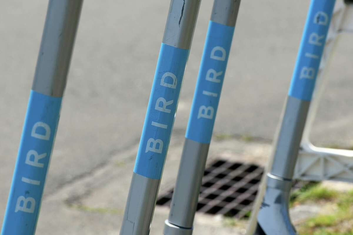 Bird electric scooters parked along Fairfield Beach Rd., in Fairfield, Conn. June 30, 2022.