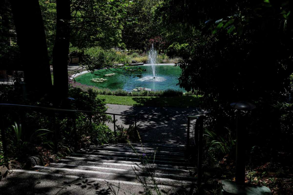 A fountain pond is one of the calming attractions at the Marin Art and Garden Center in Ross.