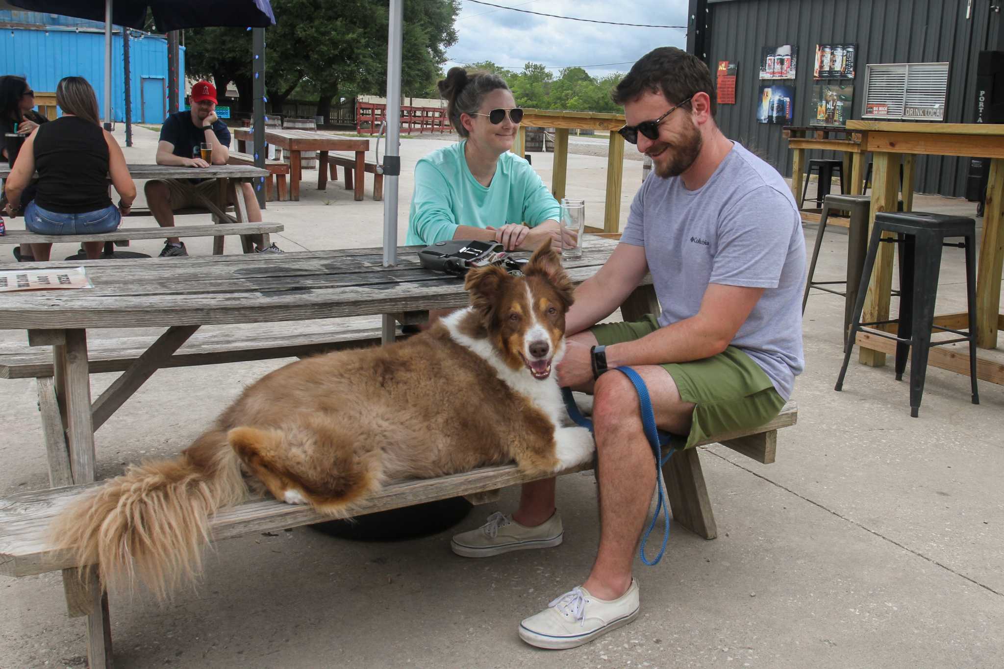 Reader poll Katy Insiders share the best dogfriendly patios