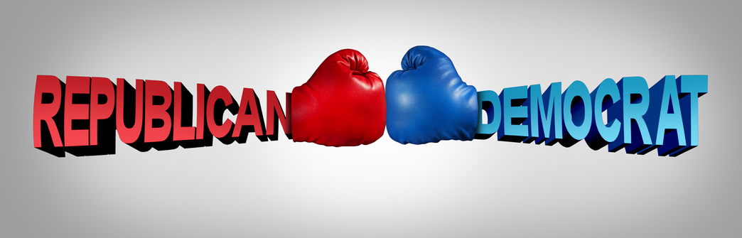 Commentary: Michael Flanagan — Commentary: Michael Flanagan — Congress must overcome bickering and be a watchdog - Vimarsana News