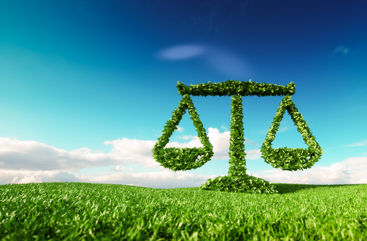 Commentary: Chris Woodward — Green groups putting politics ahead of protection - Vimarsana News