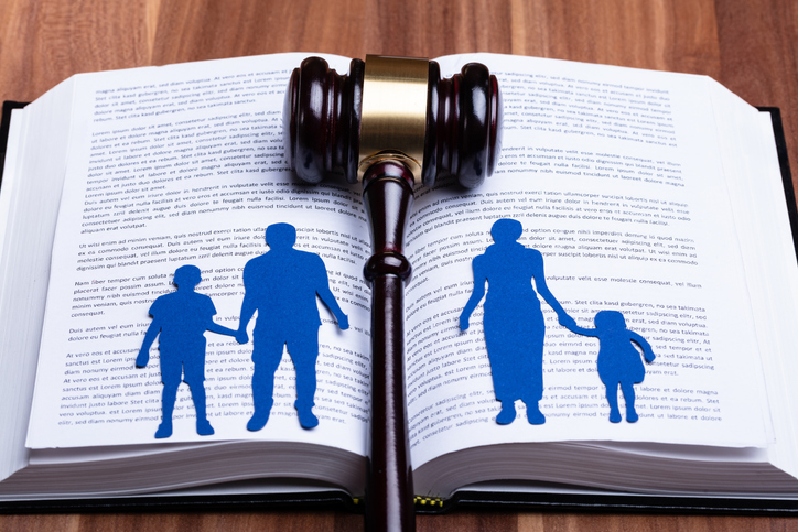 Commentary: Mara Dolan — Children flooding 'juvenile' courts - Vimarsana News