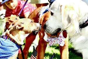 Litchfield Pet Parade draws crowd to Tapping Reeve Meadow