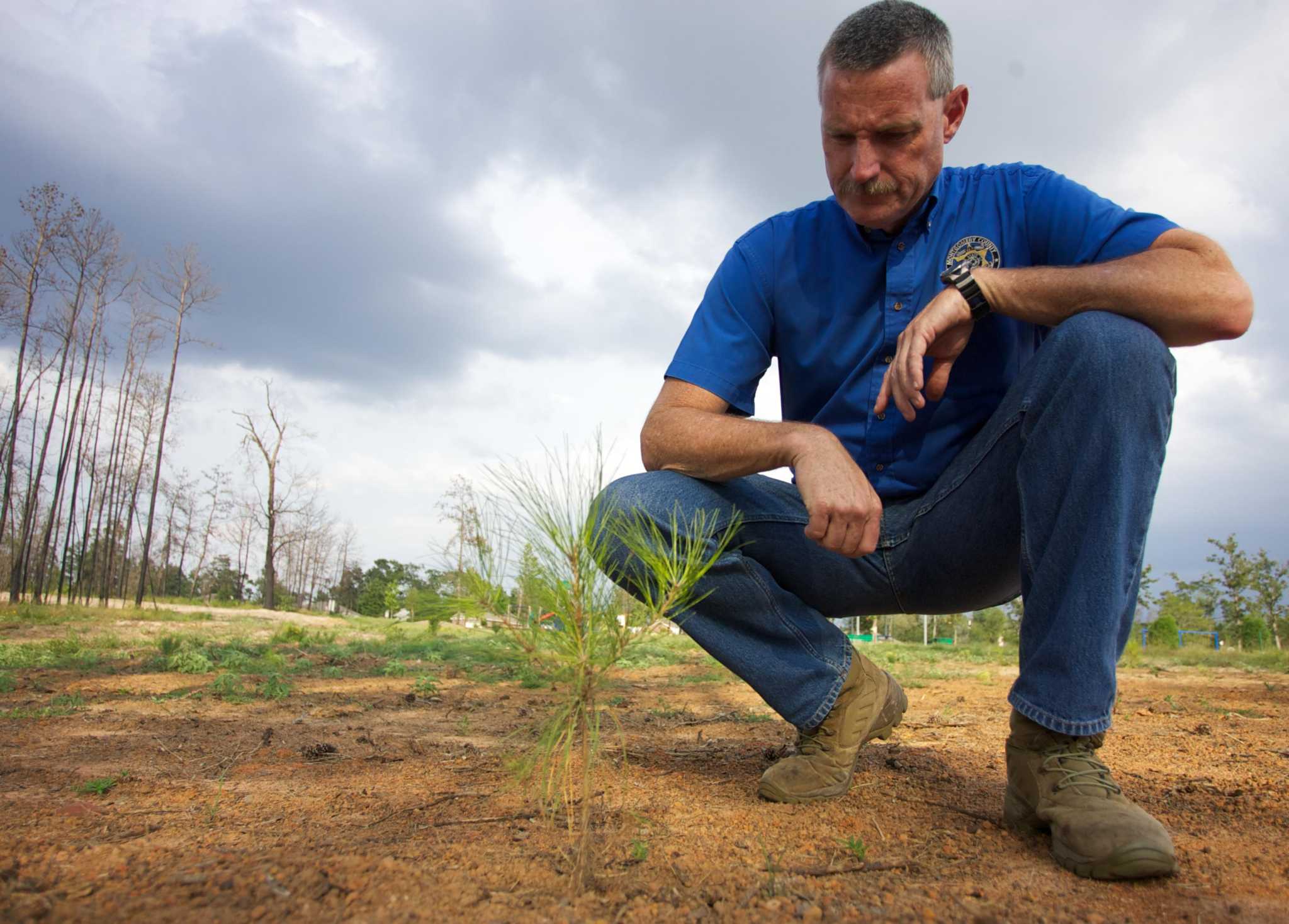 Montgomery County Enacts 30 Day Burn Ban   RawImage 