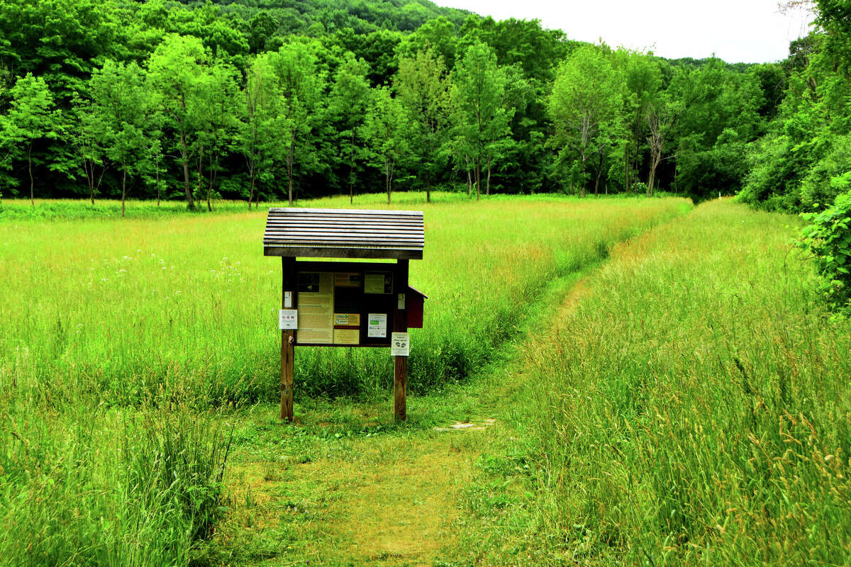 Mohawk Hudson Land Conservancy marks 30 years of protecting nature