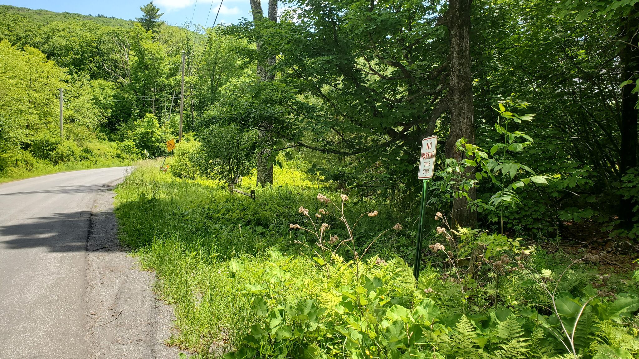 Churchill: Towing strands hikers, readers respond - Vimarsana News