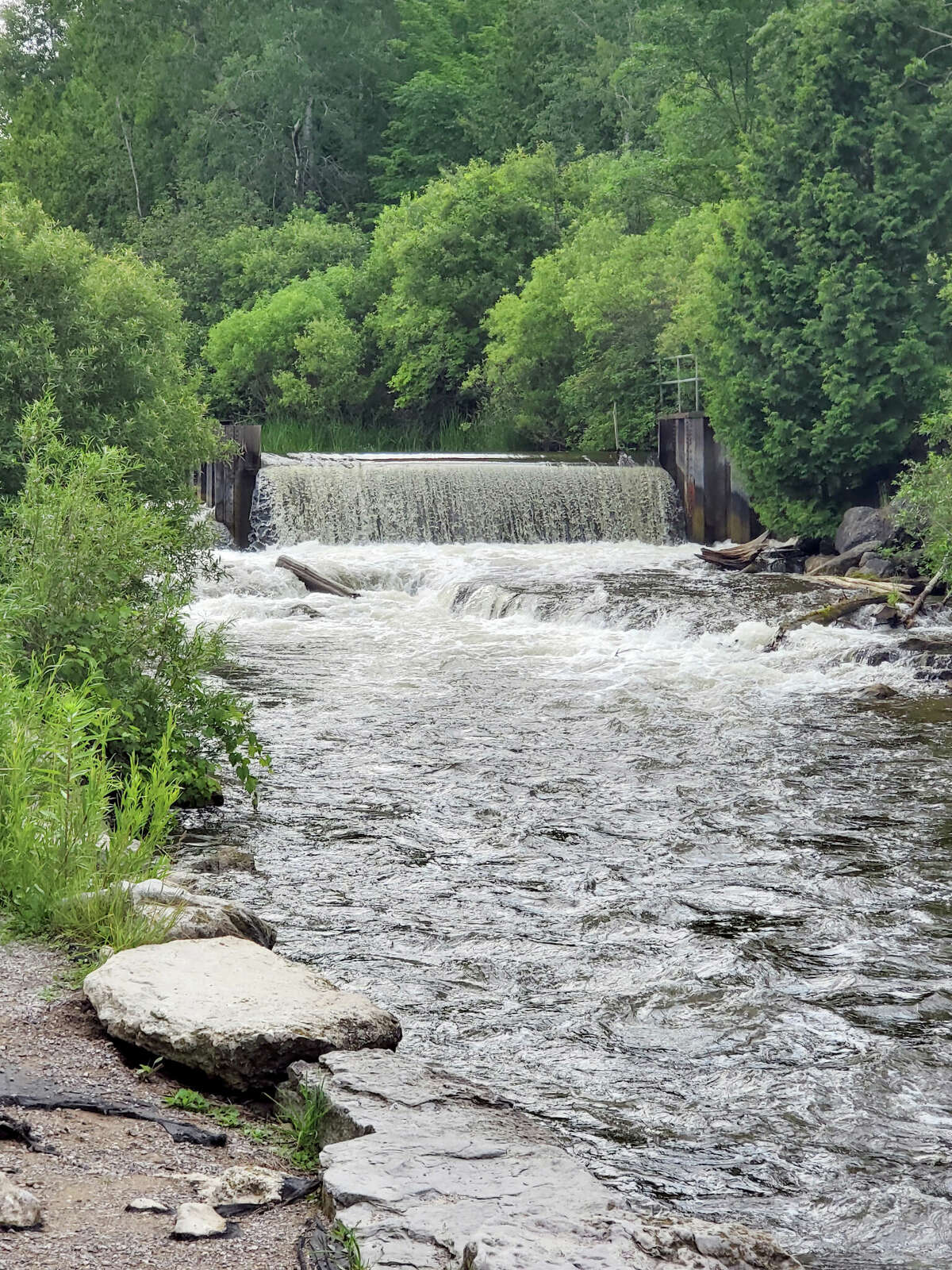Over the past few years, the Homestead Dam area on the Betsie River has become a huge attraction for anglers. 