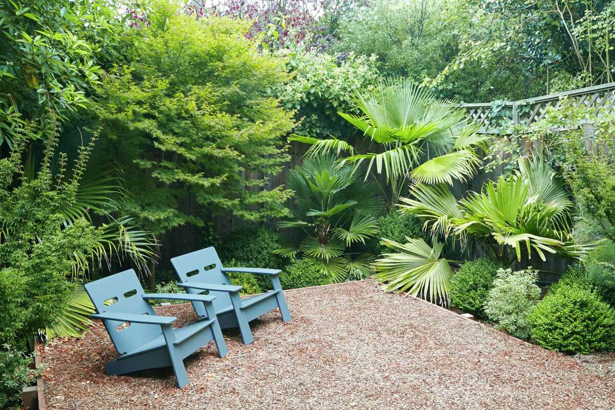 A small garden includes various fan palms in a border of foliage plants around a simple seating area.