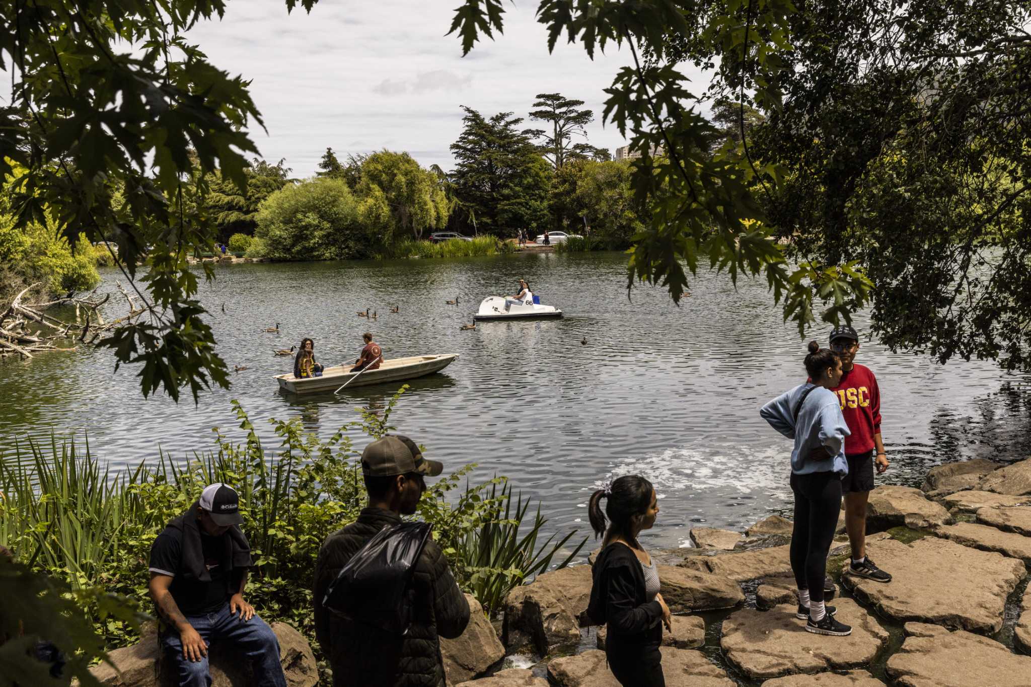 旧金山金门公园的斯托湖改名为蓝鹭湖