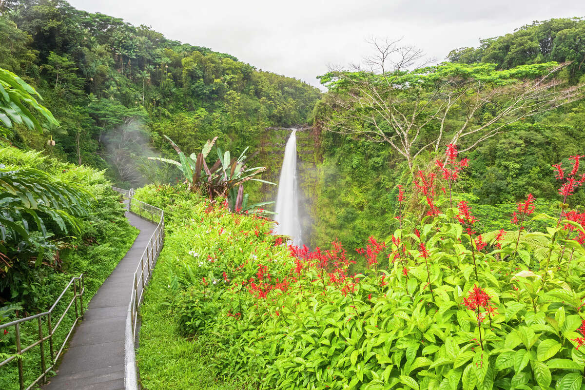 The trail to view Akaka Falls is short and paved but has a 100-foot elevation gain.
