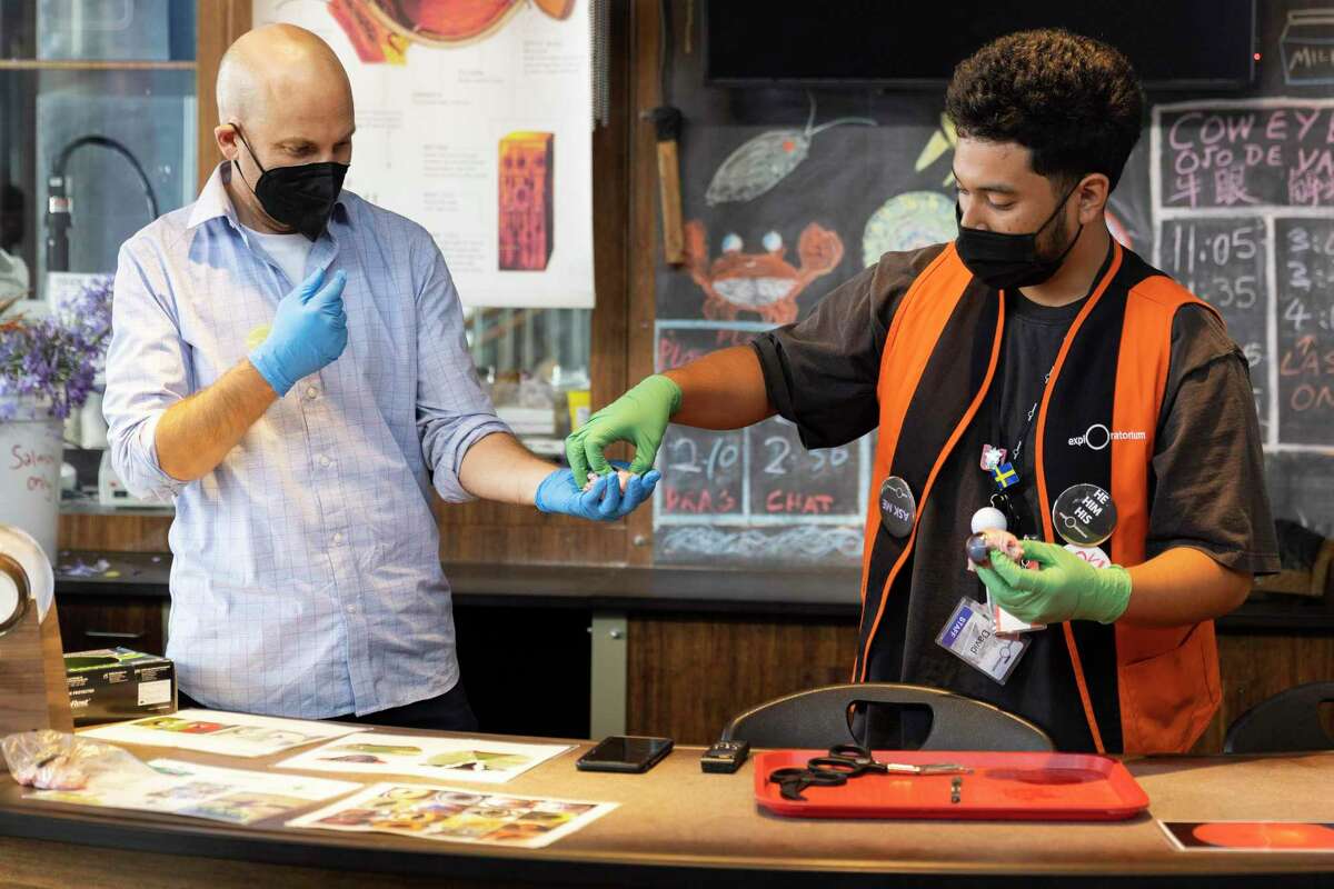 Chronicle columnist Peter Hartlaub (left) assists Exploratorium employee David Moran as he dissects a cow eyeball during a public demonstration.