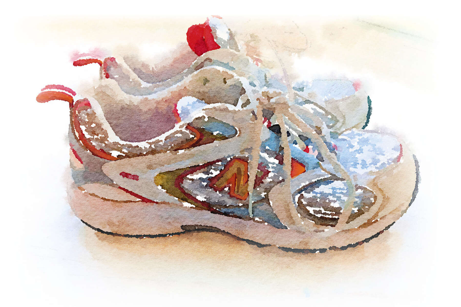 essays shoes