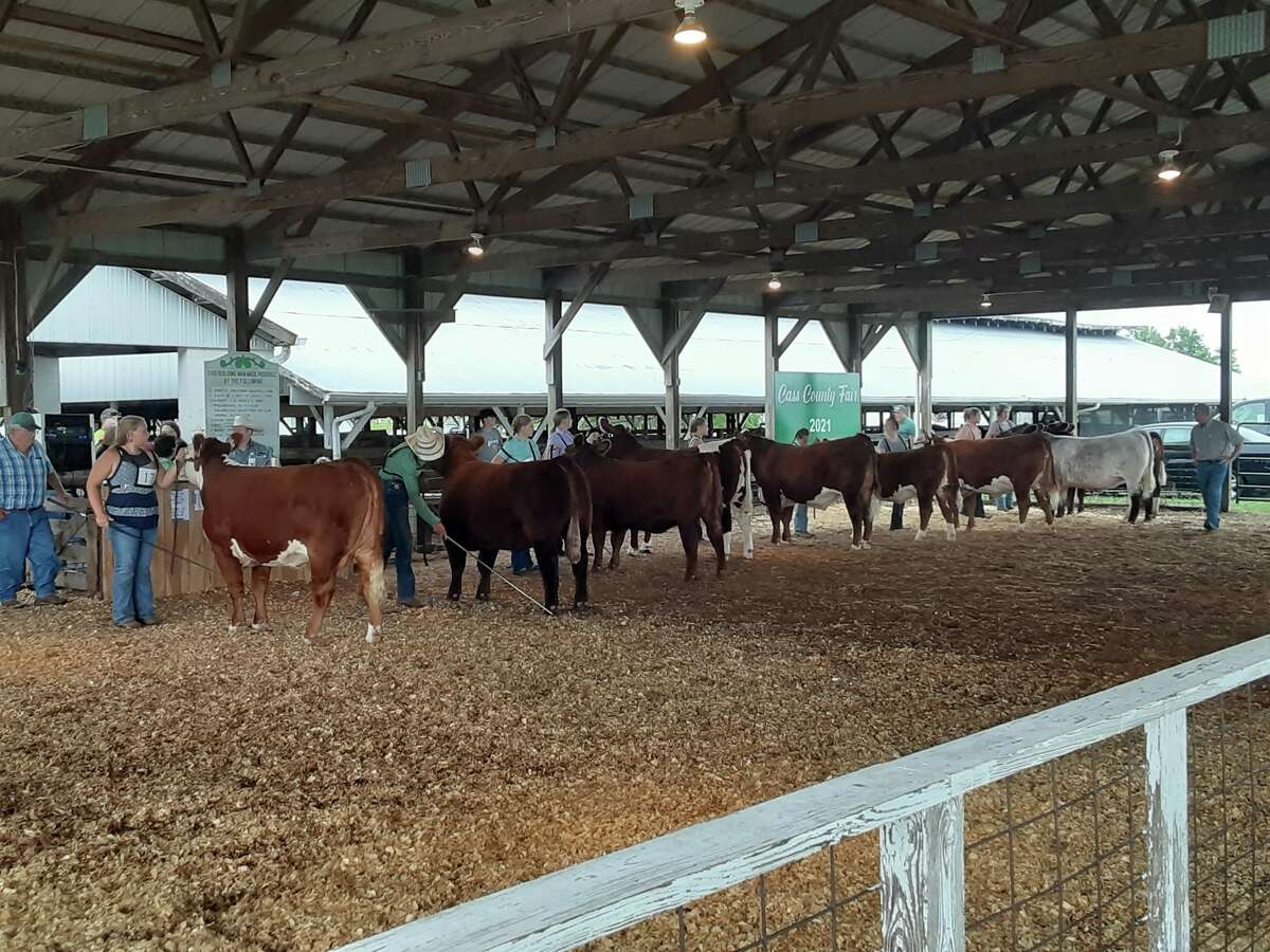 Cass County Fair prepares to kick off JournalCourier