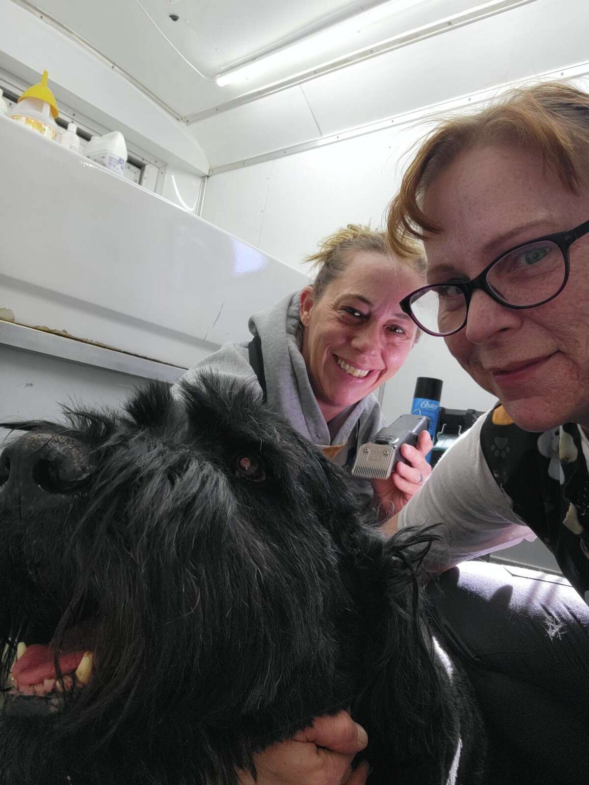 Groomer of 25 years takes business to next level