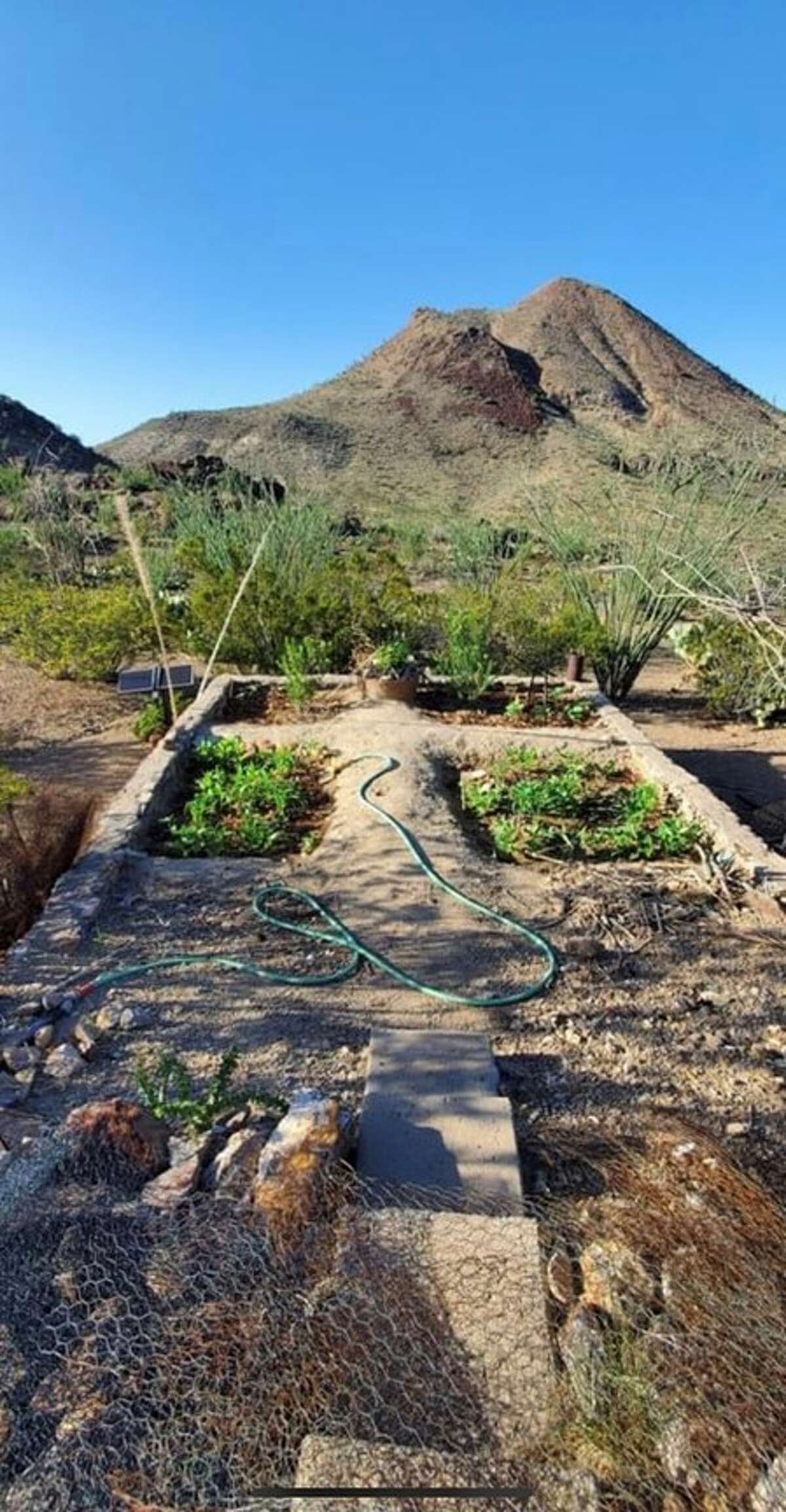Master Gardeners Waffle gardening a technique for gardening in the desert