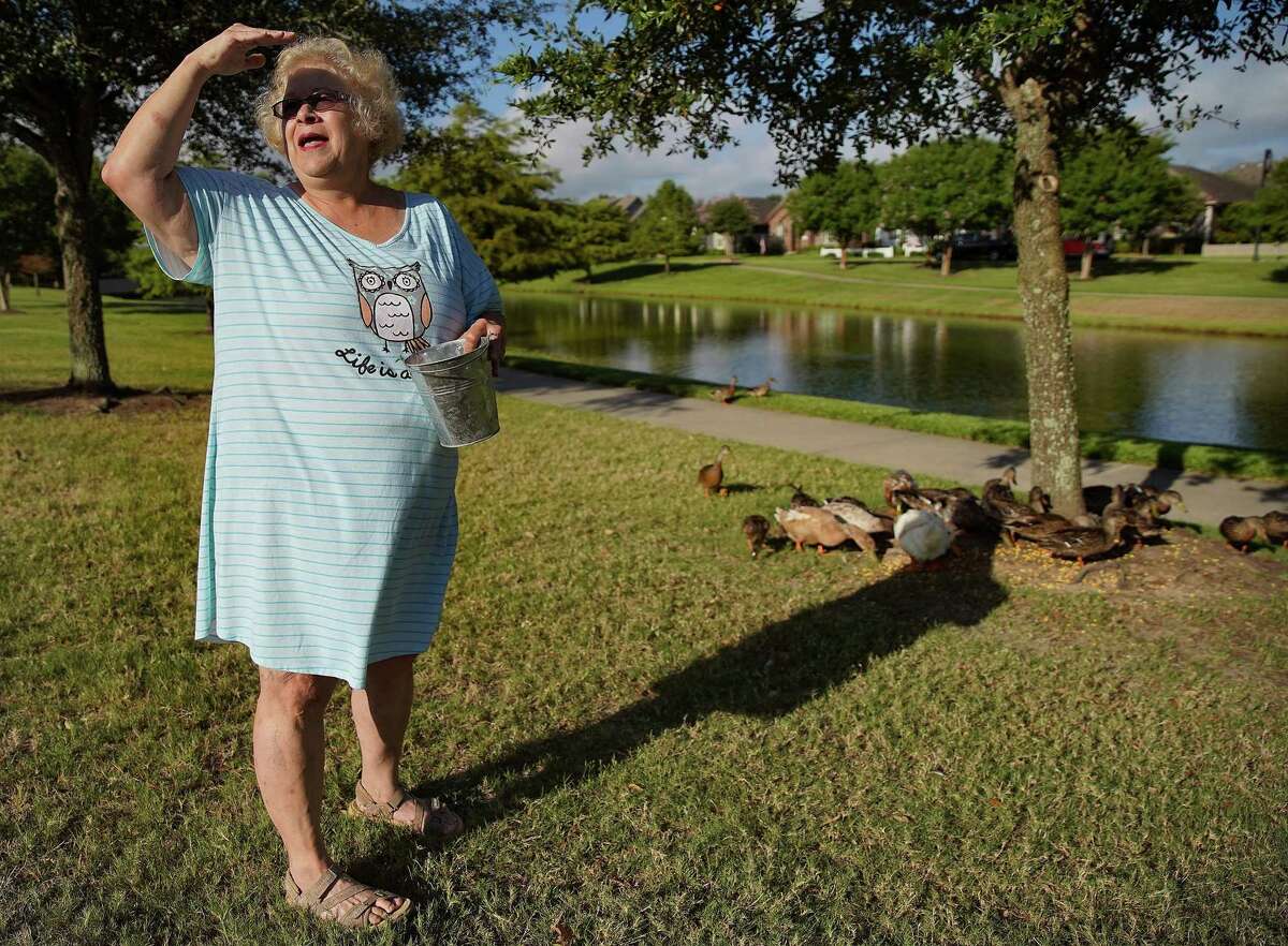 Kathleen Rowe, 65, looks over to her husband, George, as he sits on the porch while she feeds a handful of ducks across the street from their home on Friday, July 8, 2022 in Cypress.