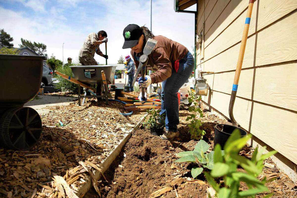 Karen Borg digs a mulch basin trench during a greywater installation demonstration at a Vallejo home.
