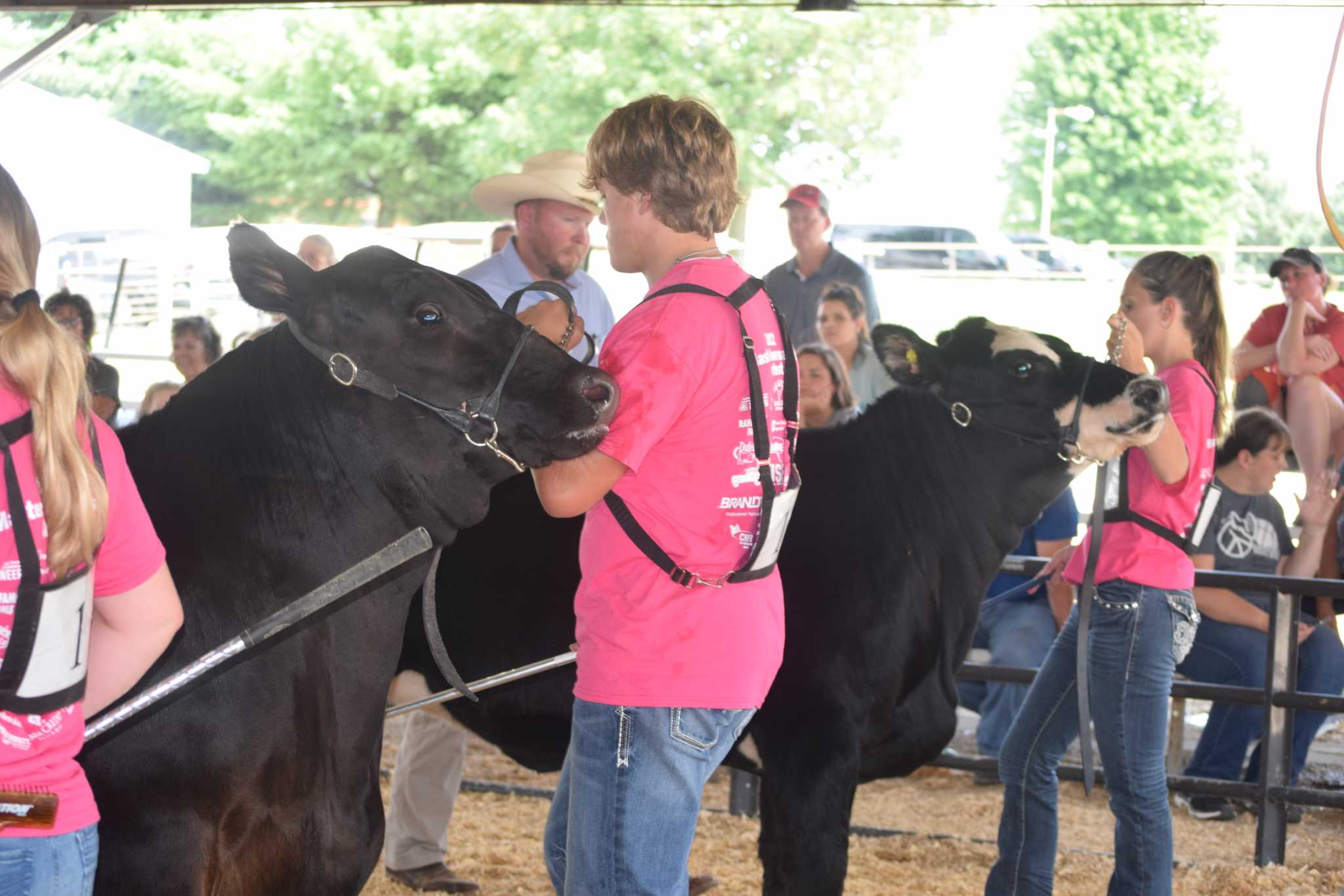 4H members show off animal handling skills JournalCourier