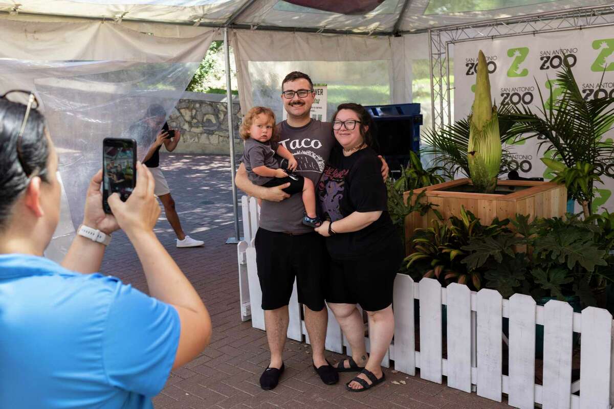 Bryan Raney, two-year-old Bastion, and Alix Raney pose for a photo with the corpse flower on display at the San Antonio Zoo in San Antonio, TX, on July 9, 2022. The corpse flower, or titan arum, is expected to bloom in about 10 days; which will reportedly mark the first time a corpse flower has bloomed in San Antonio.
