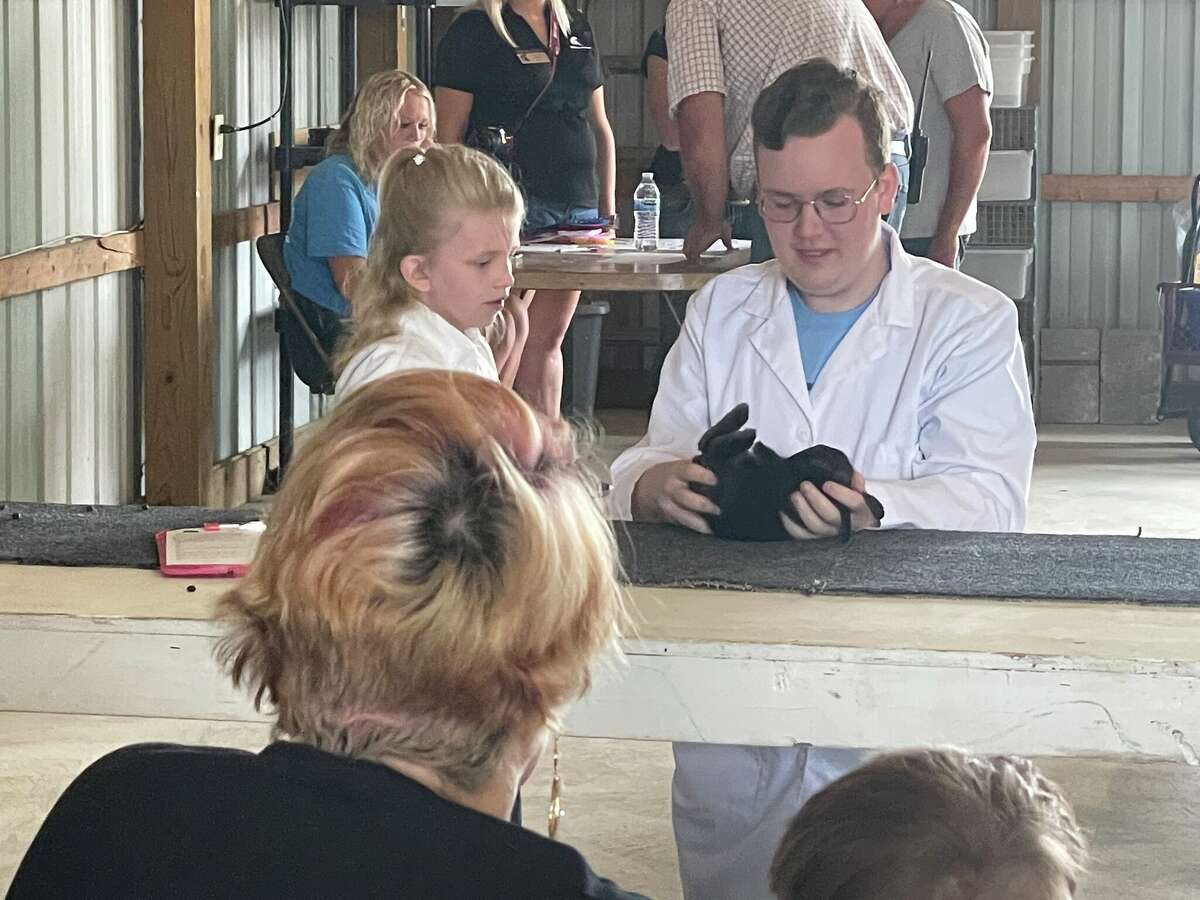 Mecosta County Fair held their rabbit show Monday morning, featuring several breeds of rabbits
