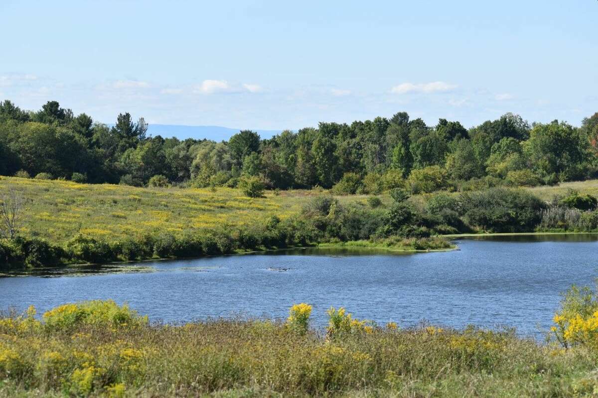 Columbia Land Conservancy offers Hike Five challenge