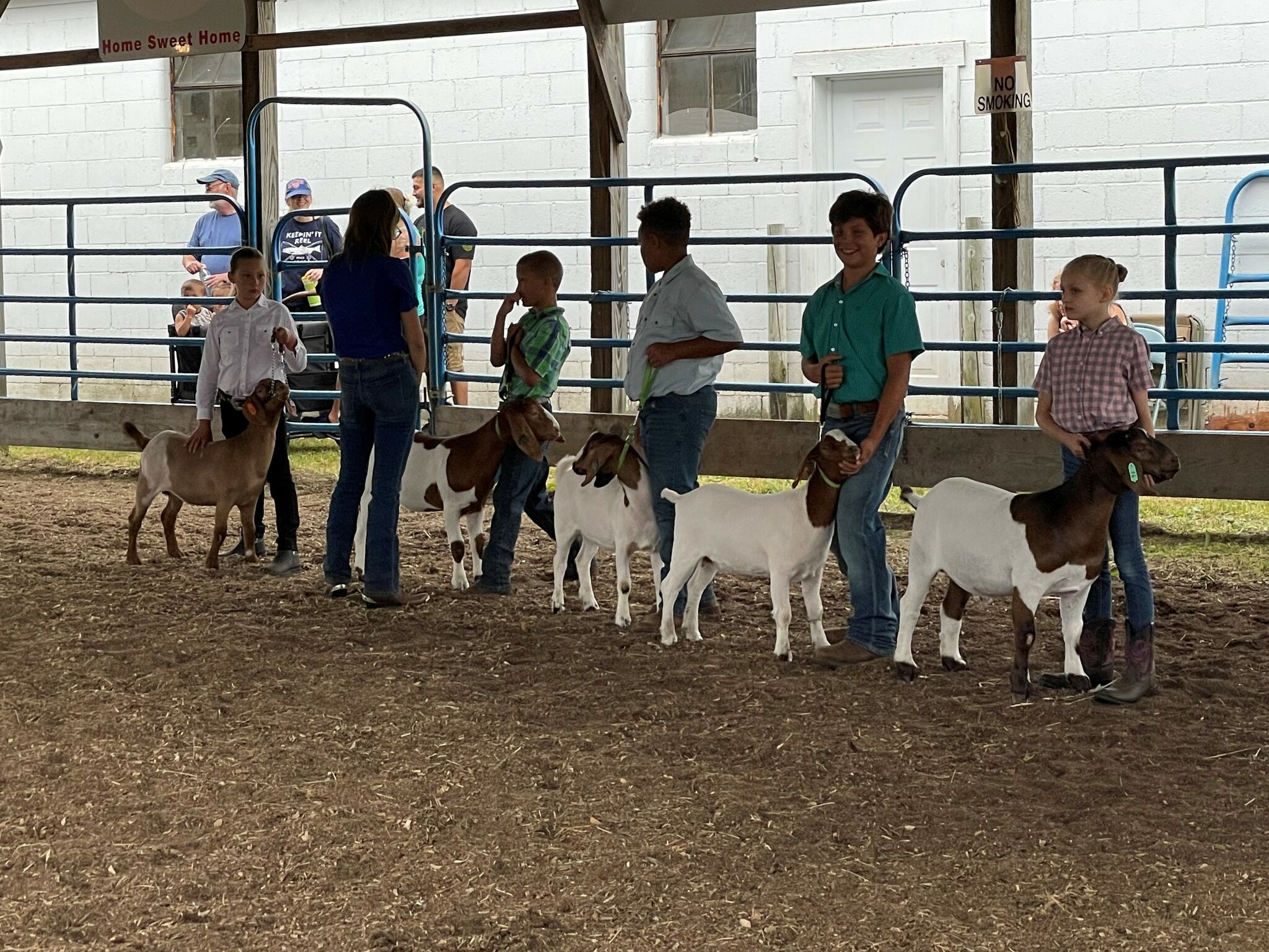 4H'ers show their 'kids' at the Mecosta County Free Fair's goat show