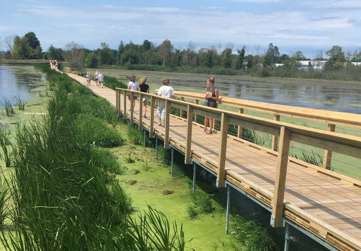 Manistee County nature preserve limiting access to help breeding birds - Vimarsana News