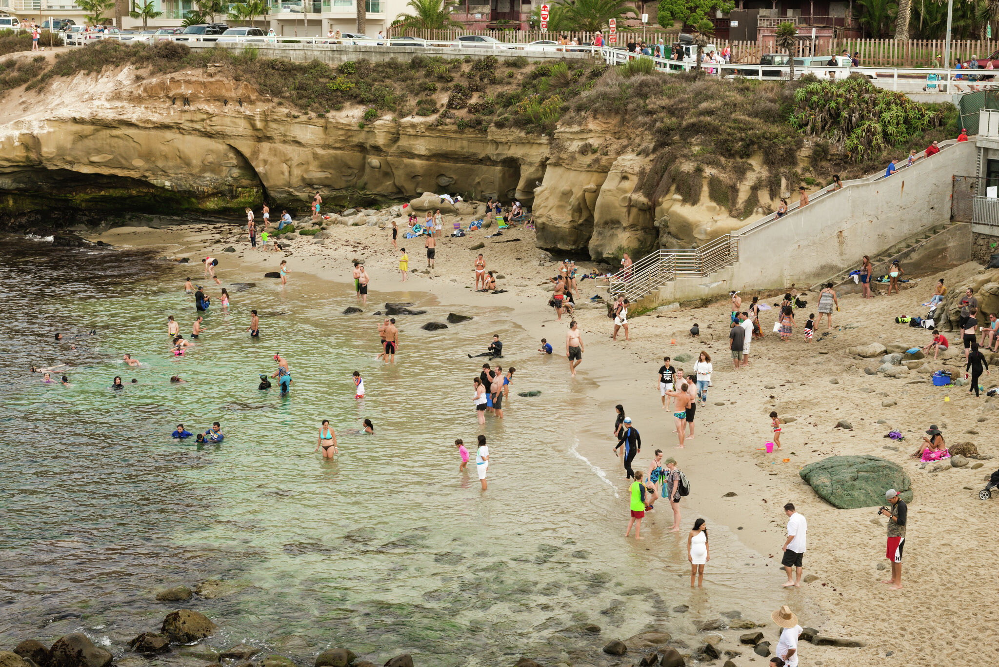 California beachgoers chased away by Sea lions at San Diego's La Jolla Cove