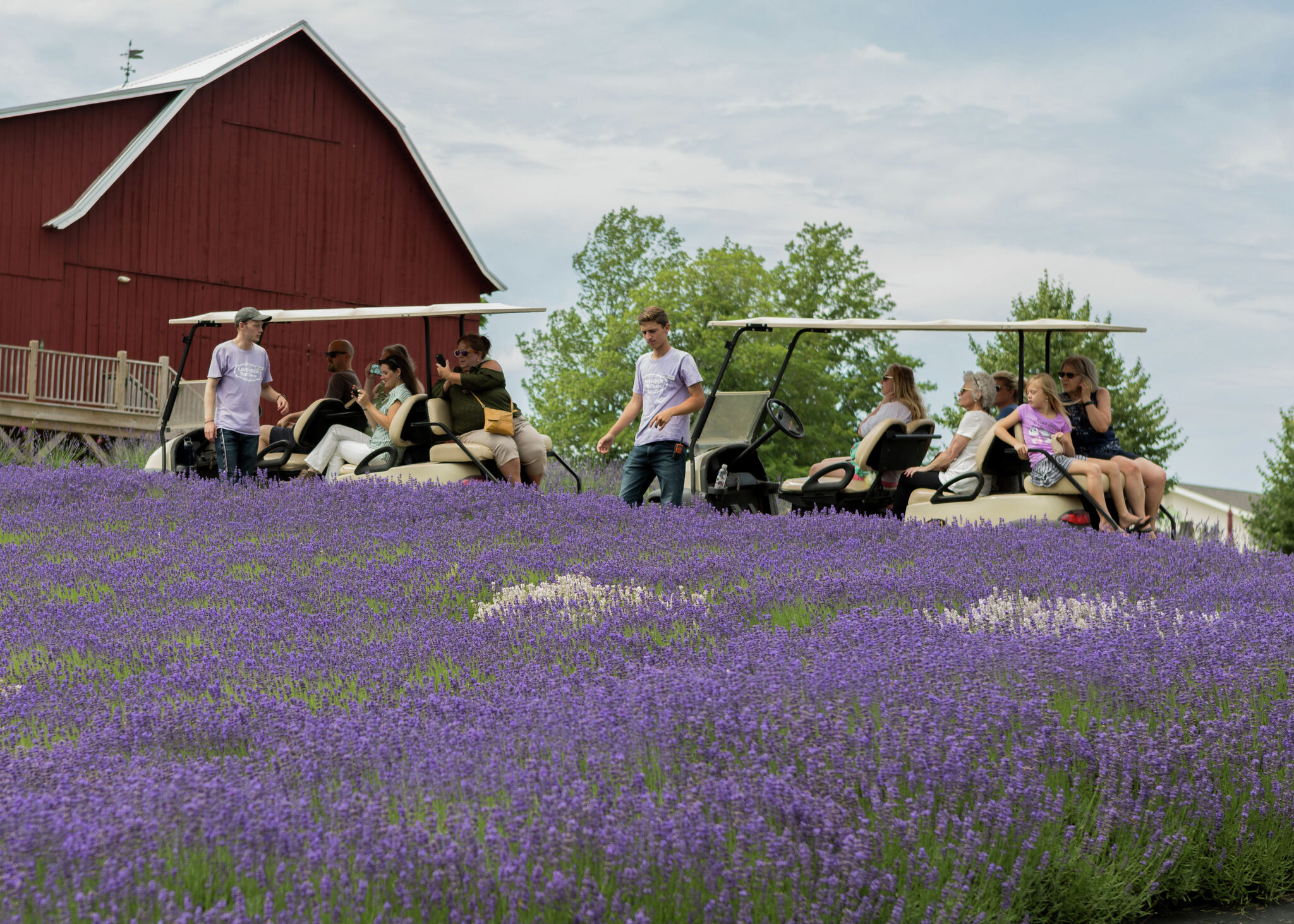 Lavender Hill Farm gearing up for grand opening of new farmhouse