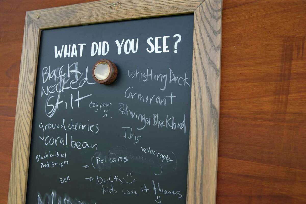 People leave notes on a message board after bird-watching at The Edward and Helen Oppenheimer Bird Observatory, which is owned by Artist Boat and open to the public.