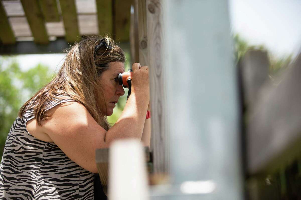 Artist Boat Executive Director Karla Klay bird watches at The Edward and Helen Oppenheimer Bird Observatory, which is owned by the organization but open to the public, Tuesday, June 14, 2022, in Galveston.