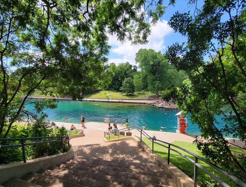 Dog dies one hour after swimming at Barking Springs in Austin