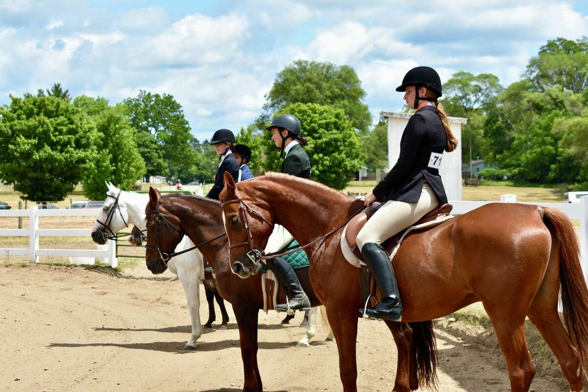 The horse and pony versatility and team competition at the Mecosta County Fair showcased riding styles including English and Western as well as timed saddle change challenges for participants. 